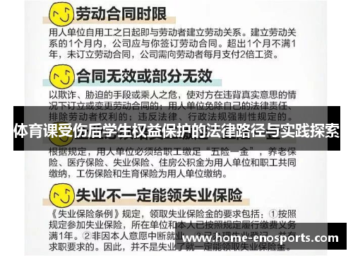 体育课受伤后学生权益保护的法律路径与实践探索