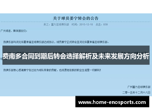 费南多合同到期后转会选择解析及未来发展方向分析